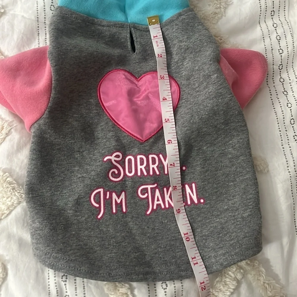 small dog grey hooded sweatshirt